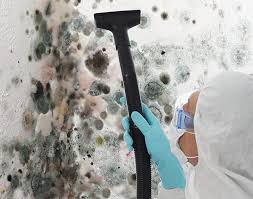 Best Mold Remediation for Vacation Homes  in Quail Creek, TX